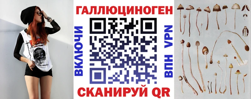 Псилоцибиновые грибы GOLDEN TEACHER  Асино 